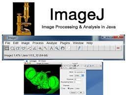 ImageJ (64-bit)